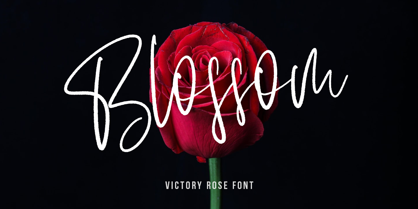 Victory Rose